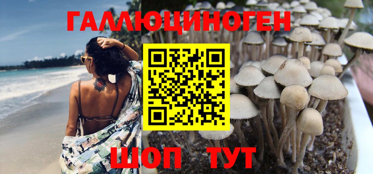 Псилоцибиновые грибы Magic Shrooms Семёнов